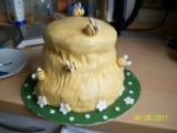 Motivtorte009.jpg