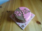 k-DSC02442.JPG