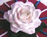 rose kat.jpg