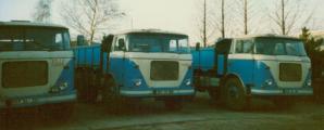 liaz.jpg