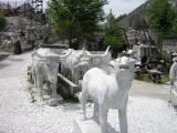 DSCN5505.JPG