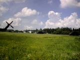 neu 009.jpg