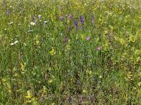 IMG_20240514_105527