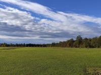 IMG_20231025_155144
