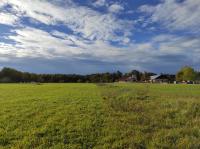 IMG_20231025_162001
