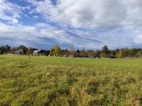 IMG_20231025_161957