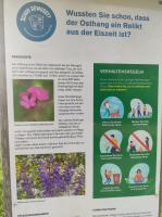 IMG_20240425_184317