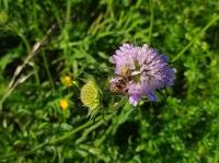 IMG_20240510_172956