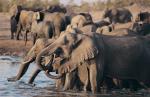 suedafrika-safari-bilder-1g