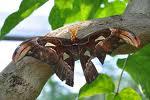 images2