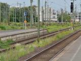 imagepreview