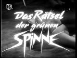 Georg_Spinne1.jpg