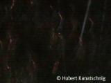 imagepreview