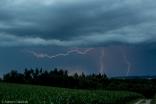 07.07.2014 - CG + CC Blitze nahe Grieskirchen (OÖ)