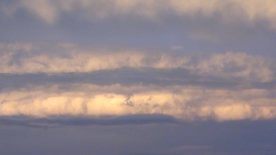 DSC05357