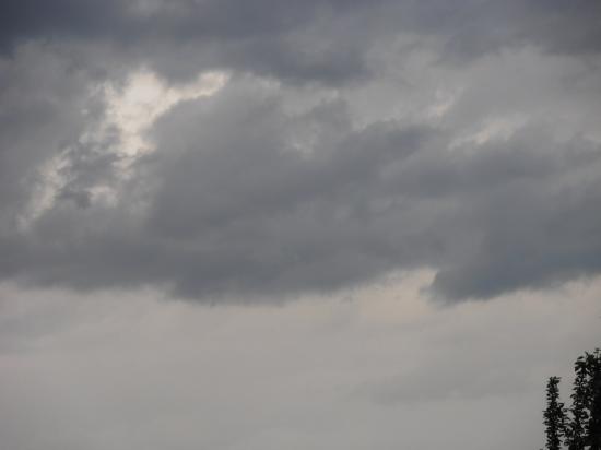 P5100019