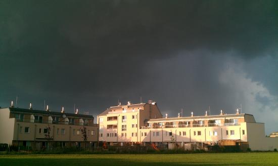 IMAG0556