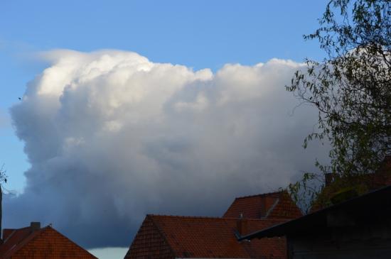 DSC_0091 (800x532)