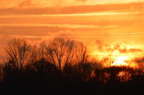 DSC_0069 (640x426)