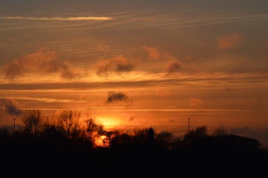 DSC_0072 (640x426)
