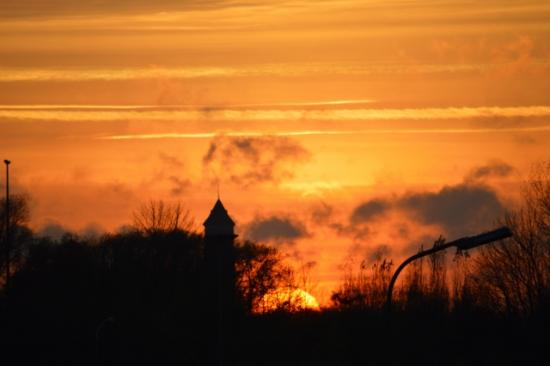 DSC_0076 (640x426)
