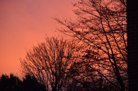 DSC_0064 (640x426)