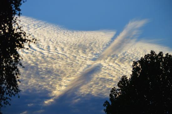 10.07.2015 - Altocumulus @ Stasegem (BEL)