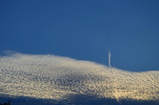 10.07.2015 - Altocumulus @ Stasegem (BEL)