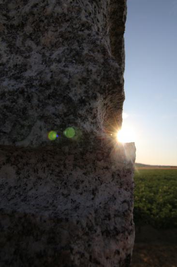11.07.2015 - Abendstimmung im Weinviertel (NÖ)