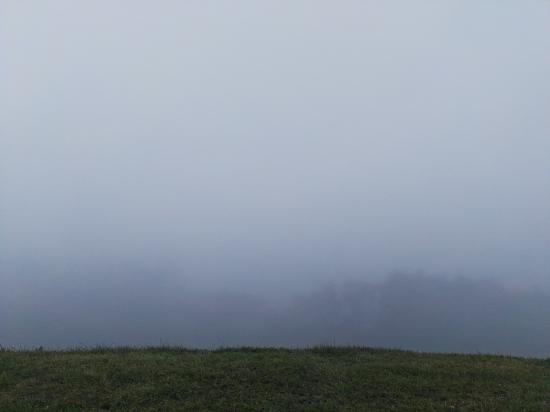 02.10.2017 - Graue Morgenstimmung @Altenmarkt a.d. Triesting (NÖ)