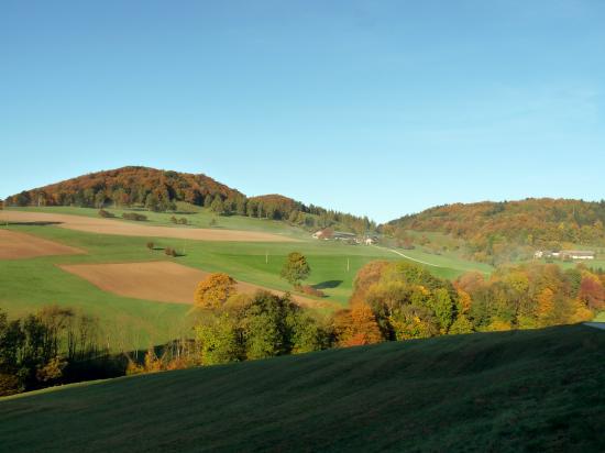 15.10.2017 - Morgenstimmung @Altenmarkt a.d. Triesting (NÖ)