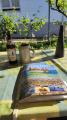 IMG-20260525-WA0026.jpeg