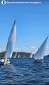 IMG_20250825_090619.jpg
