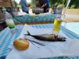 IMG_20260726_134146.jpg