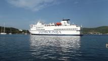 VIS  August 2014 107.JPG