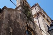 14-13-DSC07049.JPG