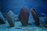 14-36-DSC07143.JPG