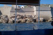 14-46-DSC07170.JPG