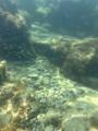 IMG_0735.jpeg