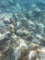 IMG_0736.jpeg