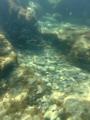 IMG_0734.jpeg
