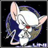 forum_message 