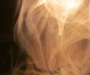 forum_message 