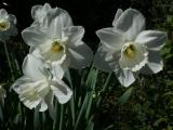 K1600_P1190024.JPG