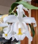 Birgit22