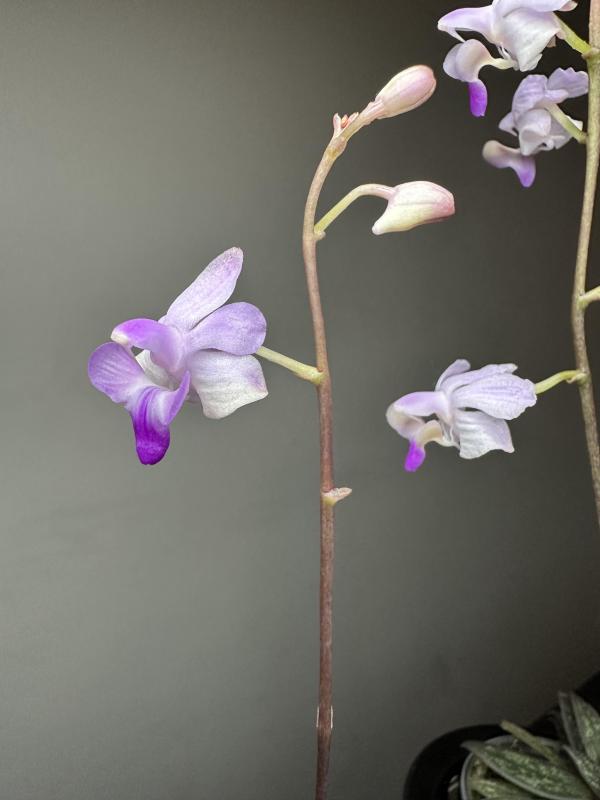 IMG_0328.jpeg