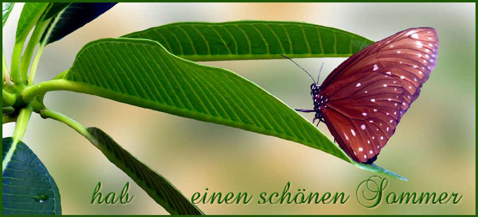 headerimg