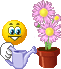 a_icon0_58fd550a.gif
