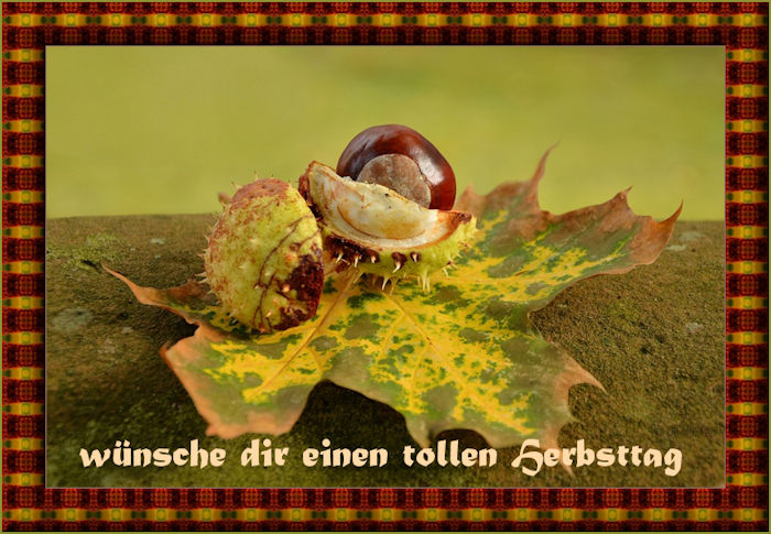 a_icon26_beb446fb.jpg