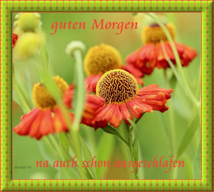 a_icon30_6d292548.jpg